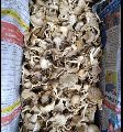 Dried Mushroom