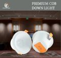 Premium COB Down Light