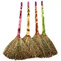 Burma Broom
