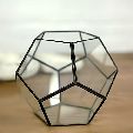 Ball Shape Geometric Terrarium