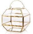 Basket Shape Geometric Terrarium