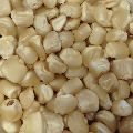 White Corn Seeds