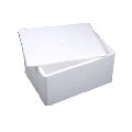 Thermocol Buffer Box