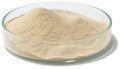 Nutrient Agar Powder