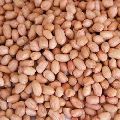 Organic Peanut Kernels