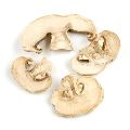 Dried Button Mushroom