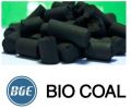 Solid bio coal