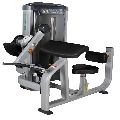 BICEPS and TRICEPS EXERCISE MACHINE