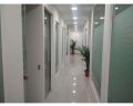 Gypsum Office Partition Services