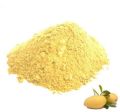 Spray Dried Alphonso Mango Powder