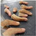 Artificial Finger