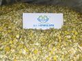 Natural dried chamomile flower