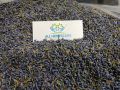 Purple dried lavender flower buds