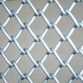 Galvanized Wire Mesh