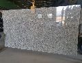 Moon White Granite - VR Granite Exports