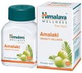 Himalaya Amalaki Tablets