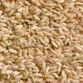 Organic Brown Non Basmati Rice