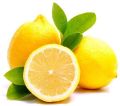 Organic Yellow fresh lemon