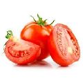 Organic Red fresh tomato