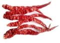 Byadgi Dried Red Chilli