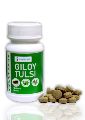 Aidmedcare Giloy Tulsi Tablets (120 Tablets)
