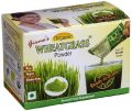 Green Wheat Grass Powder