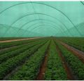 Low Tunnels Agro Shade Net House