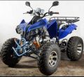 Blue 250CC Prime ATV