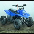 Blue 80CC Junior ATV
