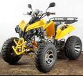 yellow 250cc prime ATV Motorcycle