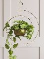 Decorative Hanging Flower Pot