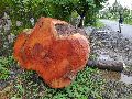 Jackfruit Wood