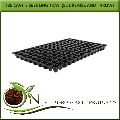 Use & Throw Square Black 126 cavity seedling tray