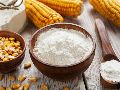 Corn Maize Off-white Shiny-white White Powder corn starch