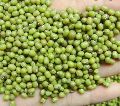 Natural Green Green Moong Beans