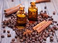 Coffee Seed Oil
