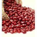 Organic Red Seeds adzuki beans