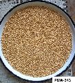 PBW-343 Wheat Seeds