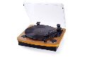 Wooden CLAW record player