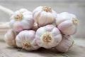 Yamuna Safed-3 (G-282) Garlic