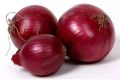 Red fresh onion