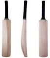 popular willow cricket bat