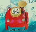 NBWRH 50-250 Water Meter