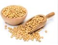 9560 Soybean Seeds