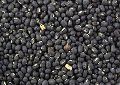 Organic Black Mung Beans