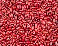 Organic red kidney beans