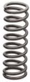 Stainless Steel Helical Spring