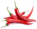 Fresh Red Chili Pepper