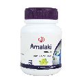 Dr Jrks Amalaki Tablets 60 NoS