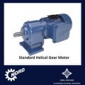 Helical Gear Motors